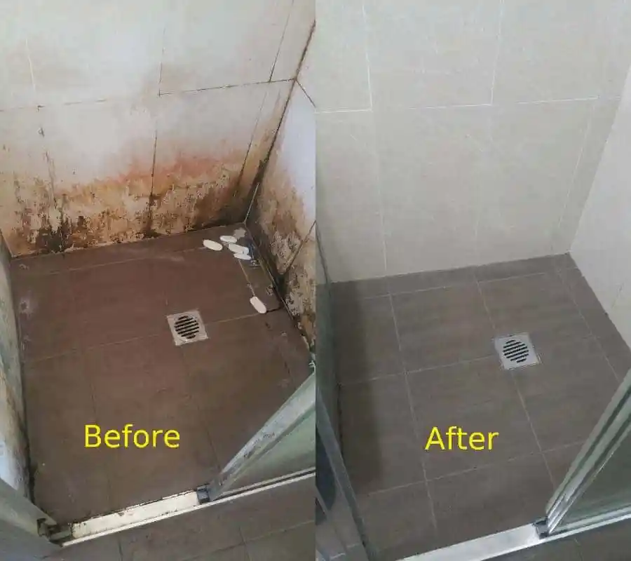 Shower Tiles Before After